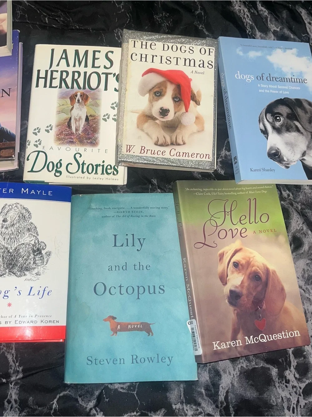 12 Assorted Dog lover Books Collection old lily and the octopus a man of his own